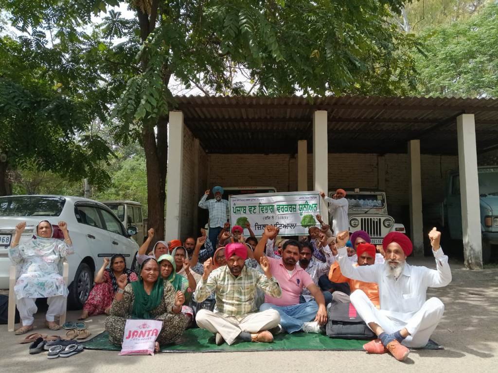 ਜਥੇਬੰਦੀਆਂ ਨੇ ਵਣ ਮੰਡਲ ਅਫਸਰ ਪਟਿਆਲਾ ਸਾਹਮਣੇ ਦਿੱਤਾ ਰੋਸ ਧਰਨਾ